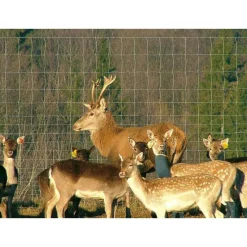 AB Polar Eläinverkko Zn hitsattu 1,0x50 m muuttuva silmäkoko Discount