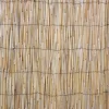 Kaislasermi IN GARDEN 500x100 cm, beige - Home4you Sale