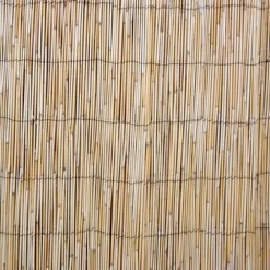 Kaislasermi IN GARDEN 500x100 cm, beige - Home4you Sale