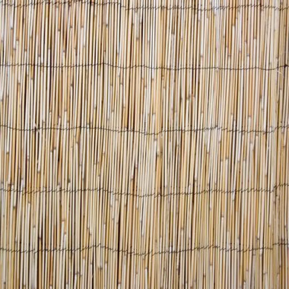 Kaislasermi IN GARDEN 500x100 cm, beige - Home4you Sale