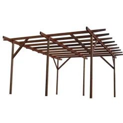 Tammiston puu Lasikuution pergola 5x6m Sale