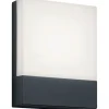 Trio LED-seinävalaisin Pecos 200x160 mm antrasiitti Sale