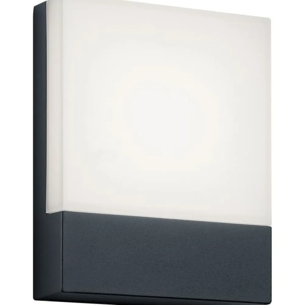 Trio LED-seinävalaisin Pecos 200x160 mm antrasiitti Sale