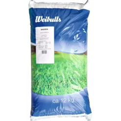 Nurmikonsiemenet skugga 12kg - Weibulls Best