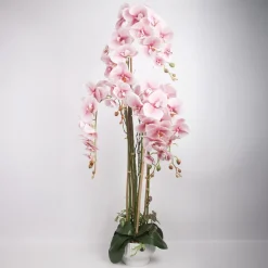 Home4you Orkidea GARDEN QUEEN K124 cm, vaaleanpunainen Outlet