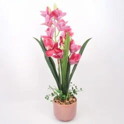 Home4you Orkidea GARDEN QUEEN K70 cm, tumma vaaleanpunainen Best
