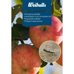 Pihlajanmarjakoiansa - Weibulls Discount