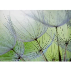 Artgeist Sisustustarra Fleeting moments eri kokoja Clearance
