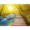 Sisustustarra Forest eri kokoja - Artgeist Online