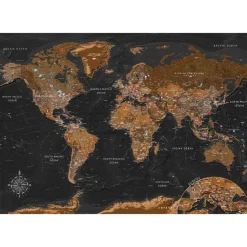 Artgeist Sisustustarra World: Stylish Map eri kokoja Best