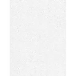 Tasoitetapetti Patent Decor Express 2212, 0,75x 25m, yksivärinen, valkoinen - Tapetit.fi Clearance