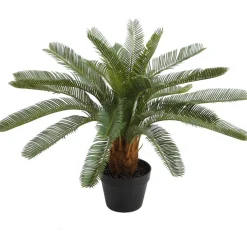 Home4you Tekokasvi CYCAS, K70 cm, musta ruukku, vihreä Discount