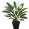 Home4you Tekokasvi SPATHE, K60 cm, musta ruukku, vihreä Online