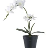Tekokasvi Orkidea, 49cm, valkoinen/vihreä - House Nordic Online