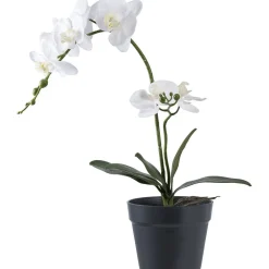 Tekokasvi Orkidea, 49cm, valkoinen/vihreä - House Nordic Online