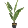 Lykke Tekokasvi Peace Lily, 105cm
