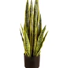 Tekokasvi Snake Plant, 65cm - Lykke