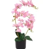 Tekokukka ruukulla orkidea 65 cm vaaleanpunainen - FinePRICE Clearance