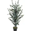 Tekopuu WIND EUCALYPTUS K120 cm, vihreä - Home4you New