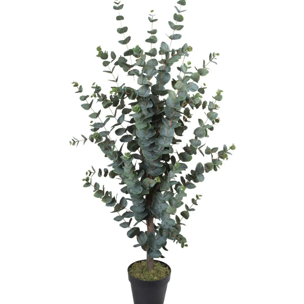 Tekopuu WIND EUCALYPTUS K120 cm, vihreä - Home4you New